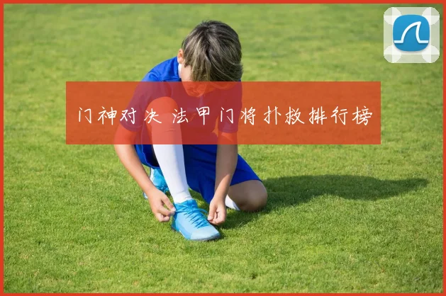 门神对决 法甲门将扑救排行榜