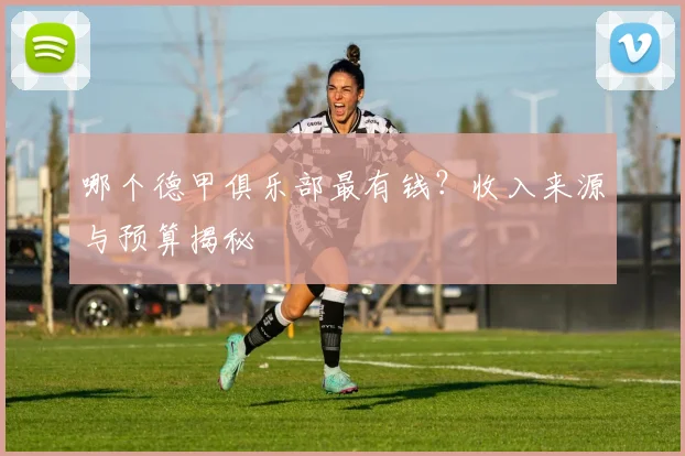 哪个德甲俱乐部最有钱？收入来源与预算揭秘