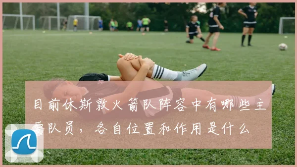 目前休斯敦火箭队阵容中有哪些主要队员，各自位置和作用是什么