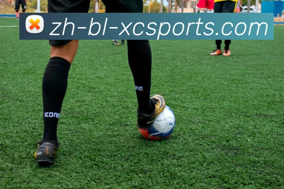 App Interface Preview